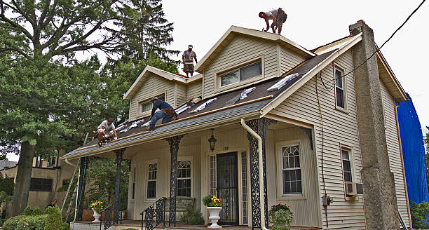 Roof Gutter Cleaning in Magnolia, NJ